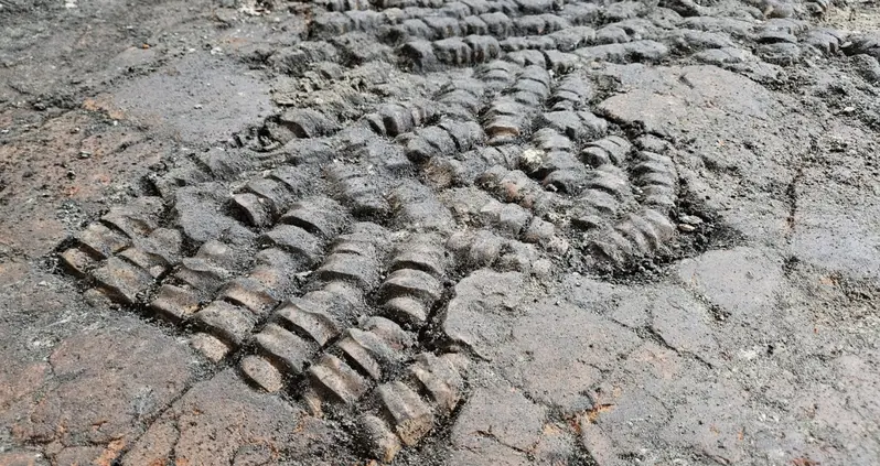 Archaeologists In The Netherlands Just Uncovered A Centuries-Old Floor Made Of Cow Bones