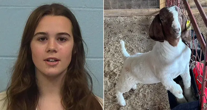 Texas High School Cheerleader Faces Animal Cruelty Charges After Allegedly Poisoning Her Rival’s Show Goat