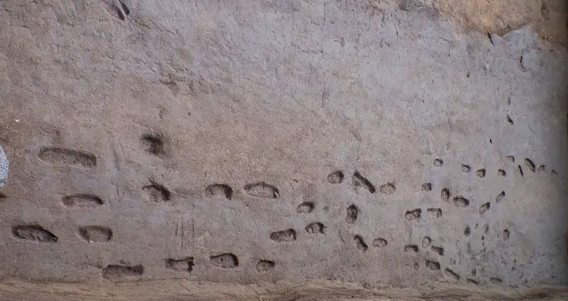 Pipeline Work In Italy Reveals Footprints From People Fleeing A Vesuvius Eruption During The Bronze Age