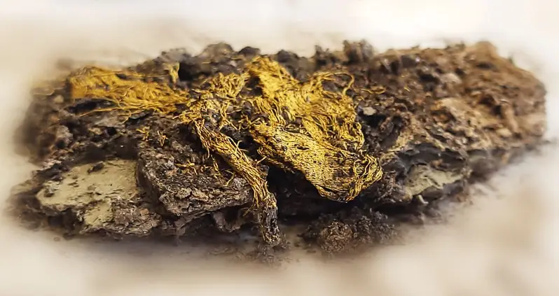 Purple Fabric Woven With Gold Threads Unearthed At A 1,600-Year-Old Necropolis In France