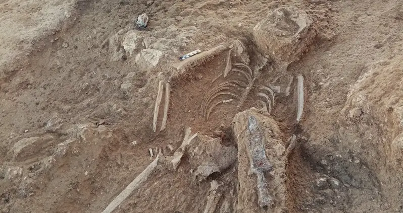 Archaeologists In Spain Just Discovered The 1,800-Year-Old Grave Of A Roman Man With A Dagger Placed Upon His Back