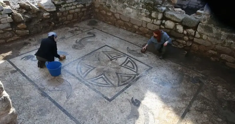 Mosaics Depicting A Variety Of Aquatic Animals Uncovered At An Ancient Roman Bathhouse In Türkiye