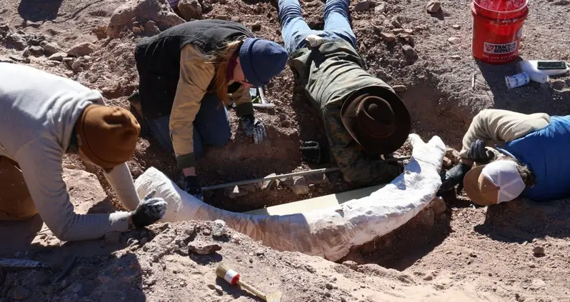 Deer Hunter Stumbles Upon A ‘Very Rare’ Mammoth Tusk On A Ranch In West Texas