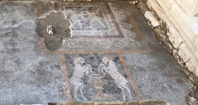 Excavations In Türkiye Reveal A 2,300-Year-Old Mosaic Of Battling Cupids