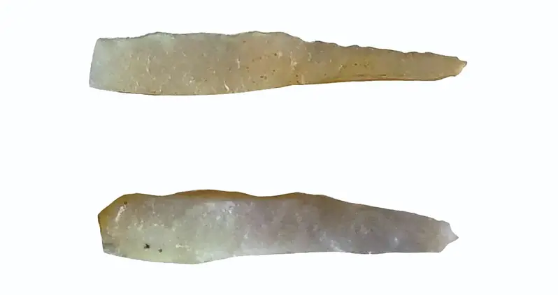 Archaeologists Searching A Cave In Belize Just Discovered The Only Ancient Maya Tattooing Tools Ever Found
