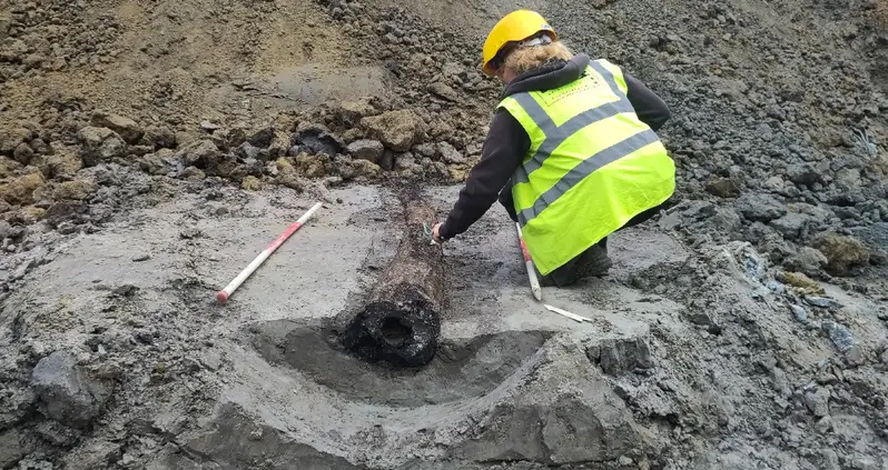 Archaeologists Just Found Rare Roman Pipes Made Of Wood Beneath A City Street In Belgium