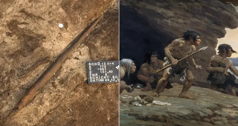 These Prehistoric Hunting Spears Unearthed In Germany Were Likely Made By Neanderthals 200,000 Years Ago