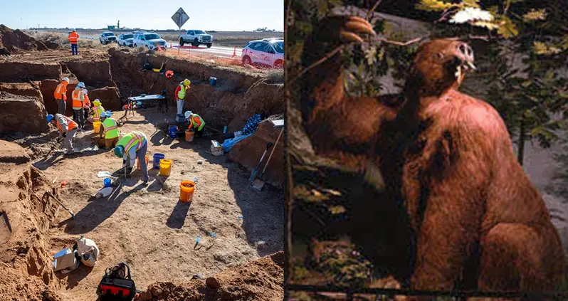 The Tooth Of A Prehistoric Giant Ground Sloth Was Just Found During The Construction Of A Road In Texas