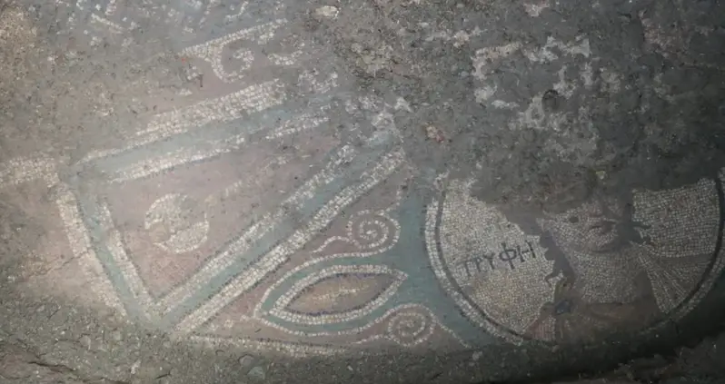 Smugglers In Turkey Caught Trying To Steal An Ancient Roman Mosaic Because They Livestreamed Their Excavation