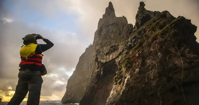 The Astonishing Story Of Ball’s Pyramid, The Monolithic Marvel Of The Pacific Ocean