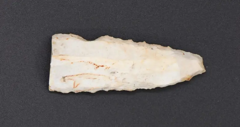 Amateur Archaeologists Just Happened Upon A 4,500-Year-Old Flint Blade In Northern Germany