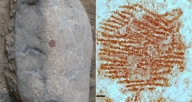 Archaeologists Just Uncovered History’s Earliest Fingerprint — That Was Made 43,000 Years Ago By A Neanderthal In Spain