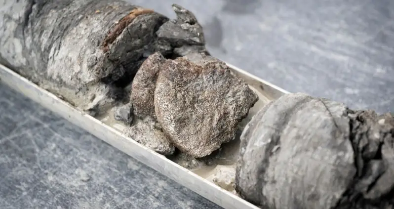 A Denver Museum Known For Its Fossil Exhibits Just Accidentally Found A Dinosaur Bone Right Beneath Its Parking Lot