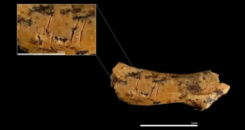 Archaeologists Digging Inside A Spanish Cave Just Found The Oldest Evidence Of Early Human Cannibalism