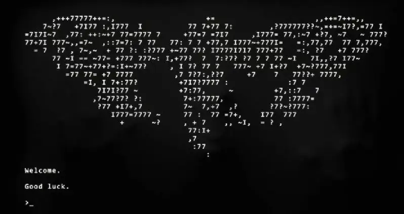 The Mystery Of Cicada 3301, The Series Of Baffling Puzzles That Were Posted Online Without Explanation