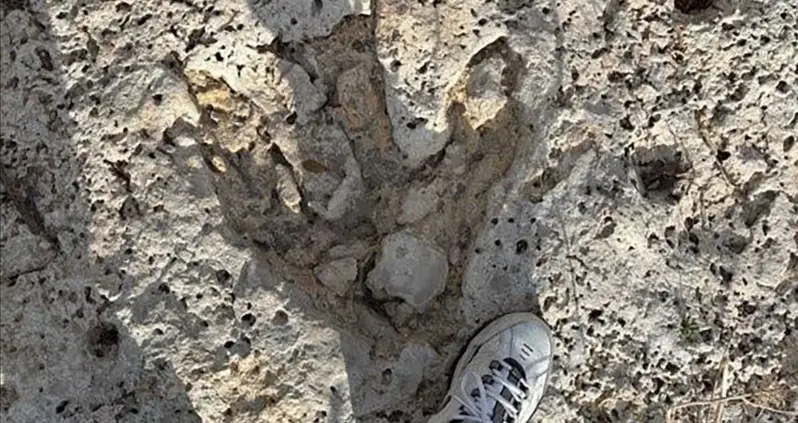 A Volunteer Aiding Texas’ Flood Disaster Discovered 15 Tracks Left By A 35-Foot-Long Dinosaur