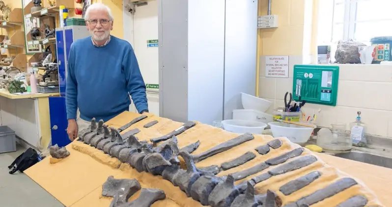 A Fossil Found On The Isle Of Wight Has Just Been Identified As A New Dinosaur Species With A Large Sail On Its Back
