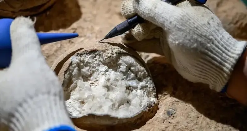 Researchers In China Just Directly Dated Dinosaur Eggs For The First Time Ever — And They Could Reveal New Insights About The Cretaceous Period
