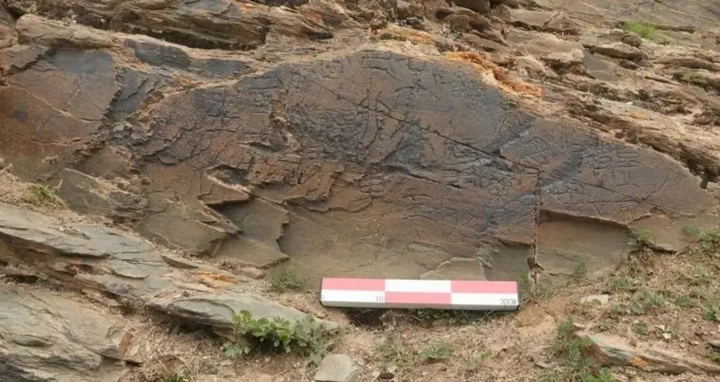 Researchers Just Identified An Inscription That Was Made During The First Emperor Of China’s Quest To Find The Elixir Of Immortality