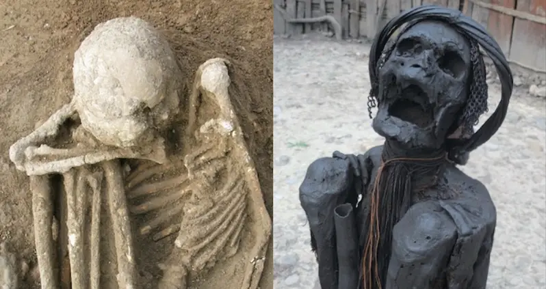 Smoke-Dried Human Remains Uncovered In Southeast Asia May Be The World’s Oldest Known Mummies