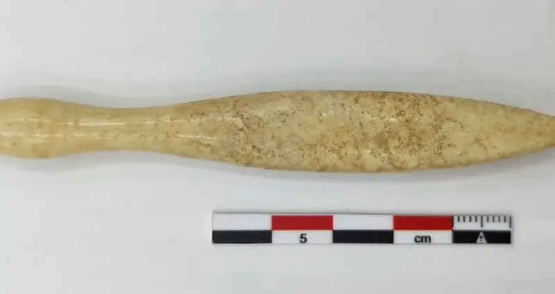 Researchers Just Identified The Oldest Known Hippopotamus Ivory Artifact Ever Found In The Iberian Peninsula