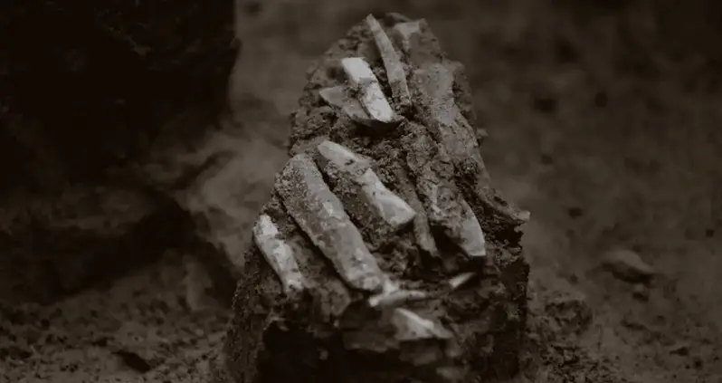 Archaeologists In The Czech Republic Found An Ice Age Hunter’s Toolkit Dating Back 30,000 Years