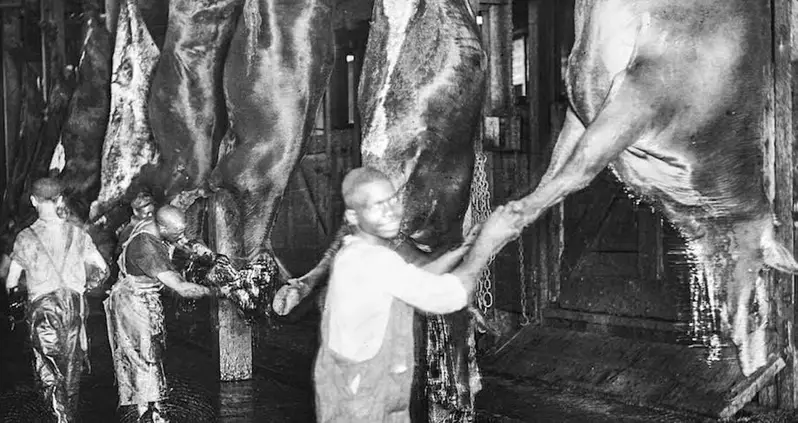 33 Photos That Show The Horrifying Conditions That Inspired Upton Sinclair’s Novel <em>The Jungle</em>