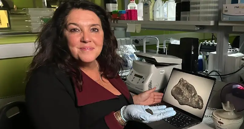 Archaeologists In Estonia Discover 10,500-Year-Old ‘Gum’ That Was Chewed By A Stone Age Teenager