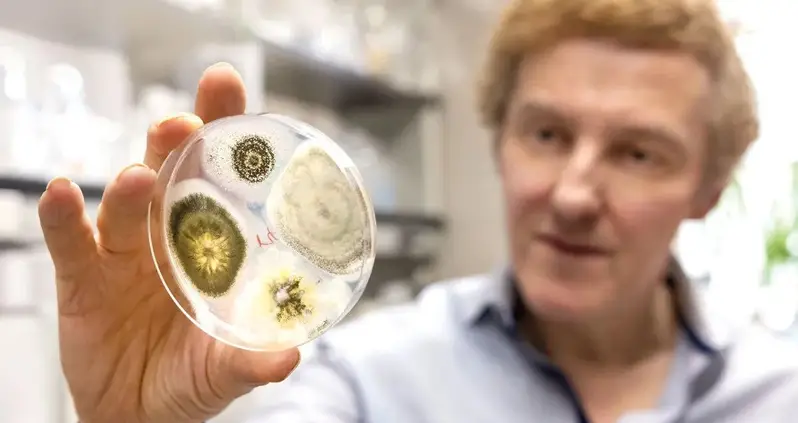 Researchers Are Developing A Genetically Modified Fungus That Can Trap And Kill Mosquitoes