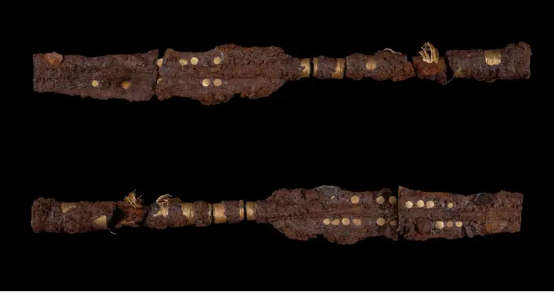 Archaeologists In Denmark Just Unearthed A Pair Of Gold-Plated Lances Dating Back 2,800 Years