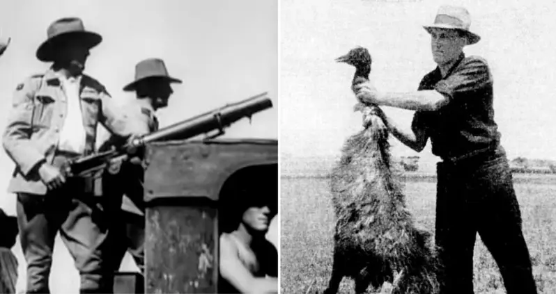 The Unbelievable Stories Behind 11 Of History’s Weirdest Events