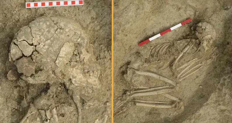 Archaeologists In Bulgaria Have Uncovered The Skeleton Of A Boy Who Survived A Lion Attack 6,200 Years Ago