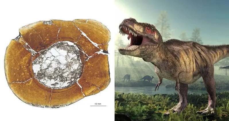 New Research Suggests The T. Rex Had A Longer Lifespan Than Previously Believed — And Didn’t Reach Full Size Until 40 Years Old