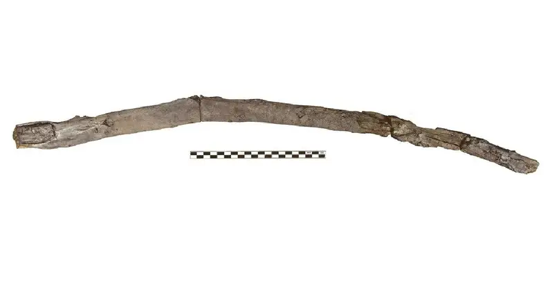 Researchers Just Identified This 430,000-Year-Old Stick From Greece As The Oldest Wooden Tool Ever Found