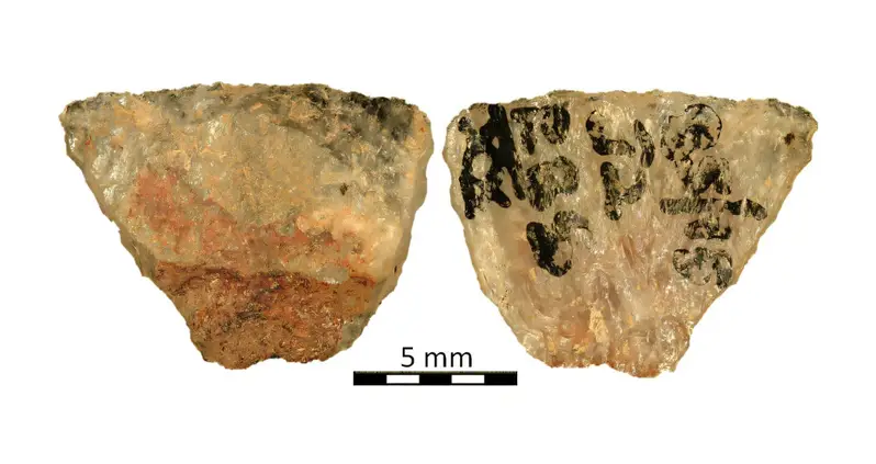 Scientists Uncover Evidence Of The Oldest Known Arrow Poison On 60,000-Year-Old Arrowheads