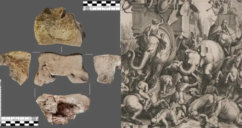 Archaeologists In Spain Believe They’ve Uncovered The First-Ever Remains Of The Elephants That Hannibal Used Against The Romans