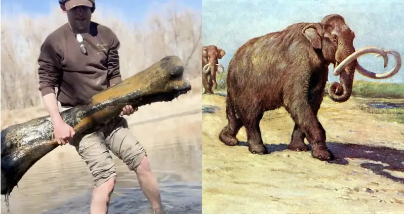 An Amateur Paleontologist In Missouri Just Pulled An Enormous Mammoth Bone Out Of A Lake