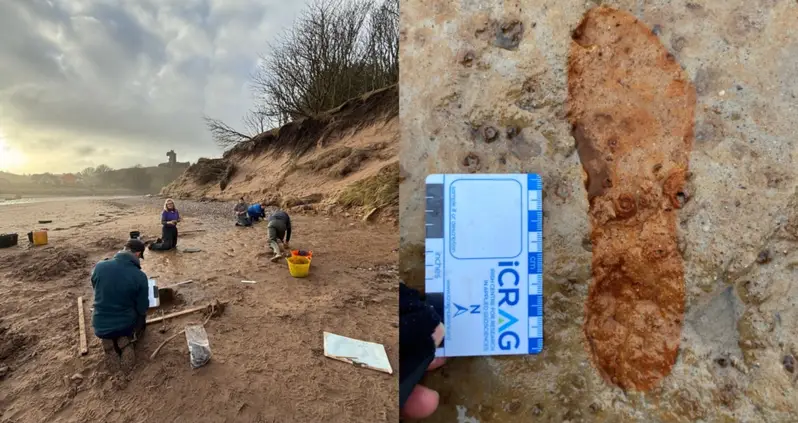 A Couple Walking Their Dogs On A Scottish Beach Just Happened Upon Footprints That Date Back 2,000 Years