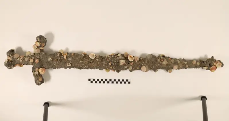 An Archaeology Student Swimming In The Mediterranean Just Happened Upon A Crusader’s Sword From The 12th Century