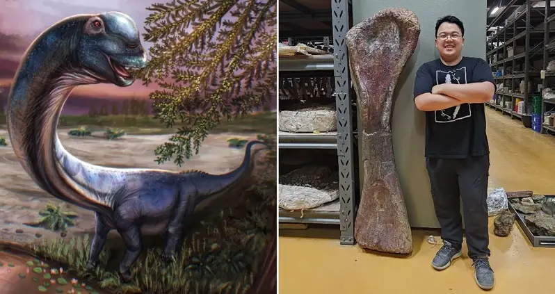 Paleontologists In Thailand Just Revealed The Nagatitan, An 88-Foot Behemoth That’s The Largest Dinosaur Ever Found In Southeast Asia