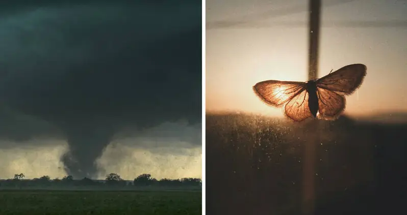 Who Were The ‘Butterfly People’ Children Said They Saw During The 2011 Joplin Tornado?
