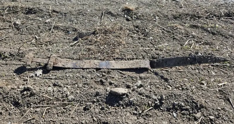 A Six-Year-Old Boy On A Field Trip Just Pulled A 1,300-Year-Old Viking Sword From A Field In Norway