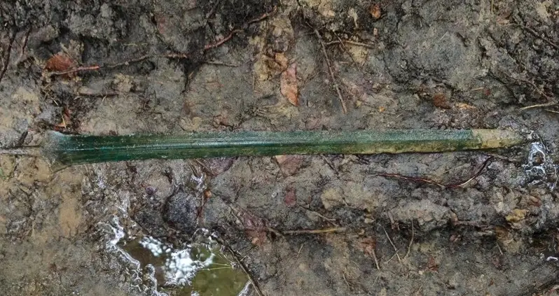 ‘I Can’t Believe It’: A Metal Detectorist In Northern Poland Just Found A 2,700-Year-Old Bronze Sword
