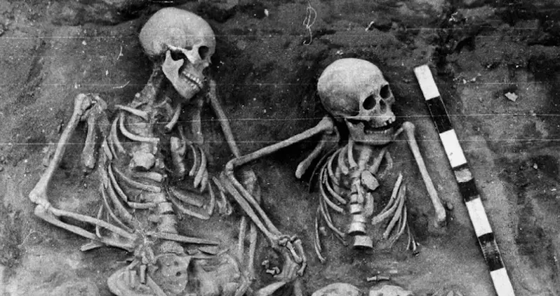 History’s First Known Cases Of The Bubonic Plague Were Just Found In 5,500-Year-Old Skeletons Unearthed In Siberia