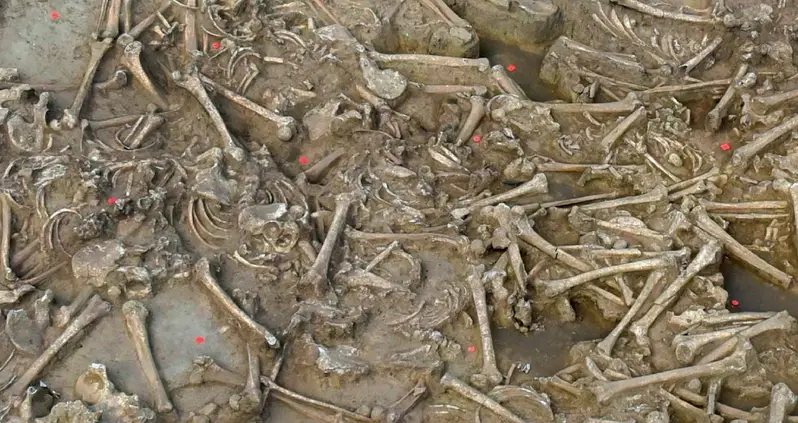 Archaeologists Are Stunned After Uncovering A 7,000-Year-Old Ditch In Slovakia With 77 Decapitated Skeletons