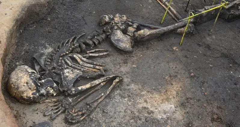 Power Line Construction In Germany Just Turned Up The 5,000-Year-Old Skeleton Of A Man Who Was Thrown Into A Kiln In A Possible Human Sacrifice