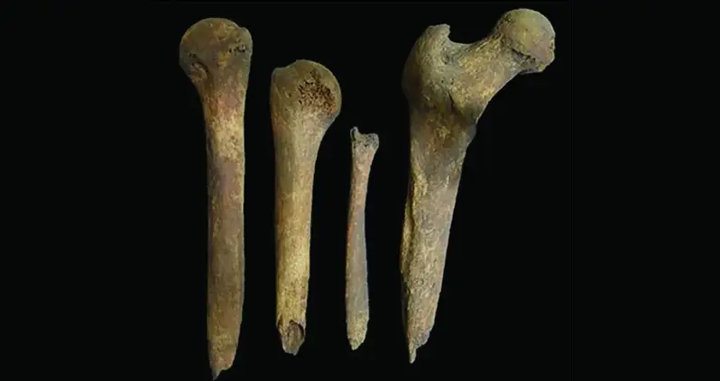 Archaeologists Baffled By A 2,000-Year-Old Skeleton Found In Scotland With Its Brain Scooped Out And Its Bones Turned Into Tools