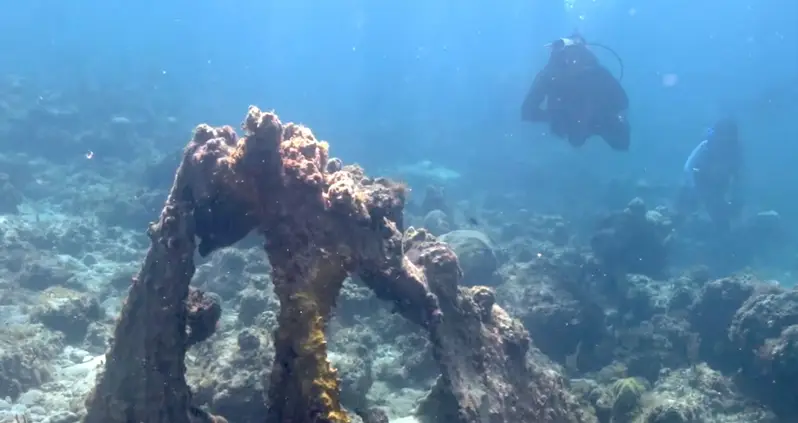 The First-Ever Shipwrecks Linked To The Real Pirates Of The Caribbean Have Been Found In The Bahamas