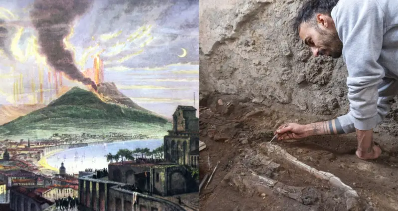 Archaeologists In Pompeii Just Uncovered The Skeletons Of Two Work Animals Who Died Tragically During The Eruption Of Mount Vesuvius