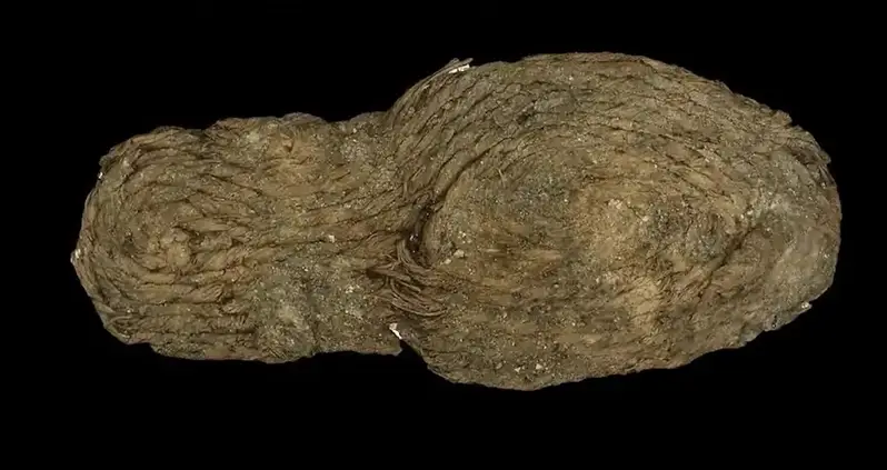 2,000-Year-Old Roman Sandals Were Just Found In Stunning Condition At An Ancient Mine In Spain